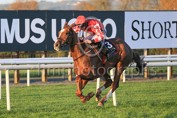 01st Chemical Energyand Mr J J Codd ( 3 , red, white diamond ) Trainer - G Elliott , Owner - Andrew Brown  Gemma Brown