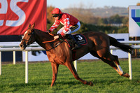 2020-10-30th - Down Royal - WKD Hurdle Day (hr) (8/23)