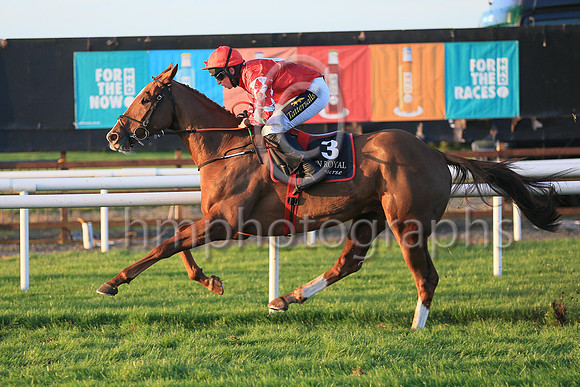 01st Chemical Energyand Mr J J Codd ( 3 , red, white diamond ) Trainer - G Elliott , Owner - Andrew Brown  Gemma Brown