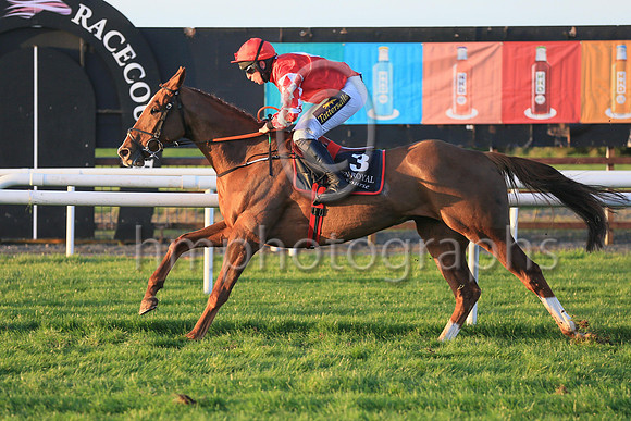 01st Chemical Energyand Mr J J Codd ( 3 , red, white diamond ) Trainer - G Elliott , Owner - Andrew Brown  Gemma Brown