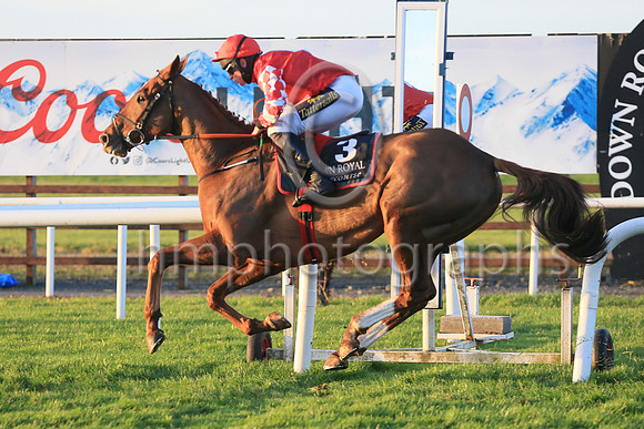 01st Chemical Energyand Mr J J Codd ( 3 , red, white diamond ) Trainer - G Elliott , Owner - Andrew Brown  Gemma Brown