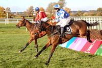 2020-10-30th - Down Royal - WKD Hurdle Day (hr) (8/23)