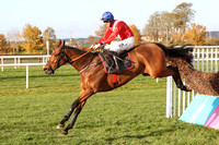2020-10-30th - Down Royal - WKD Hurdle Day (hr) (8/23)