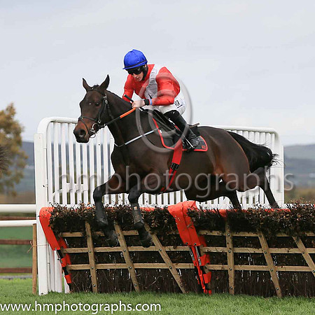 01st Ballyadamand J W Kennedy ( 1 , red, white cross sash ) Trainer - G Elliott , Owner - Cheveley Park Stud