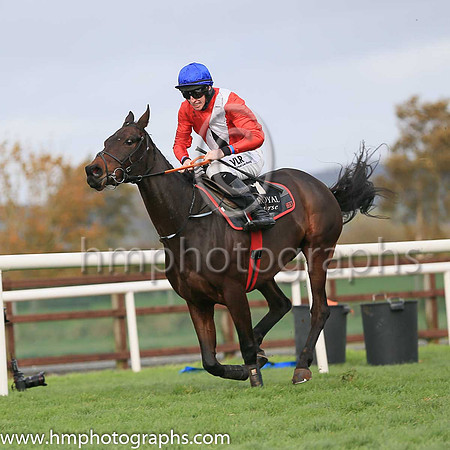 01st Ballyadamand J W Kennedy ( 1 , red, white cross sash ) Trainer - G Elliott , Owner - Cheveley Park Stud