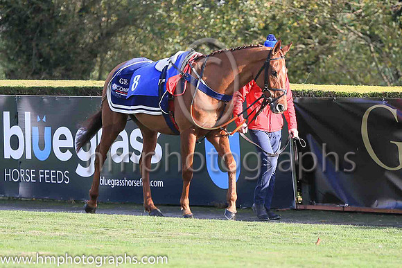 01st The Storyteller and K M Donoghue ( 8 , dark blue, yellow diamond ) Trainer - G Elliott , Owner - Mrs P Sloan