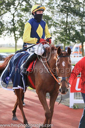 01st The Storyteller and K M Donoghue ( 8 , dark blue, yellow diamond ) Trainer - G Elliott , Owner - Mrs P Sloan