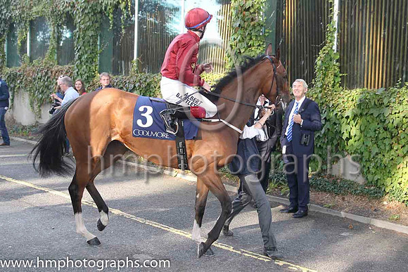 07 Purr Along and J P Spencer - - 07th (3 ,claret, gold braid ) Trainer - J P Murtagh