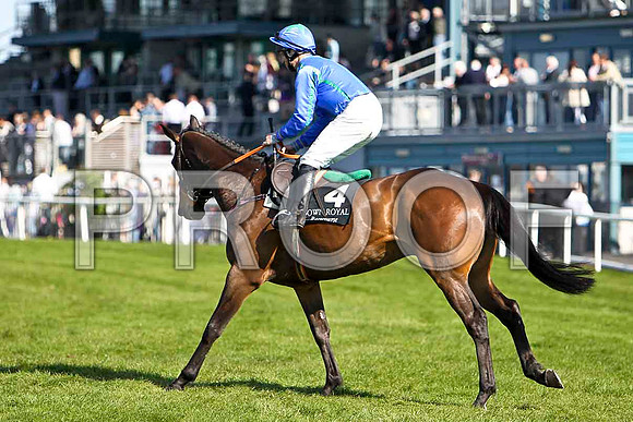 Hidden Future - 5th, Jockey Mr A T Duff - FT8E2237-e