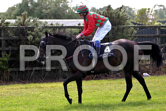 Connyella 3rd, Jockey K T O'Neill - CU2D0333-e