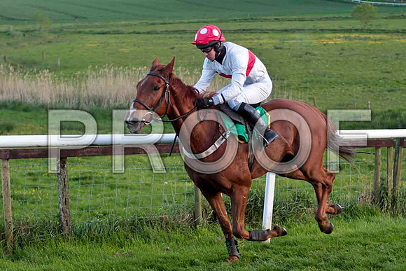 Our Cathal , 9th, Jockey Mr S F Magee - CU2D9346-e