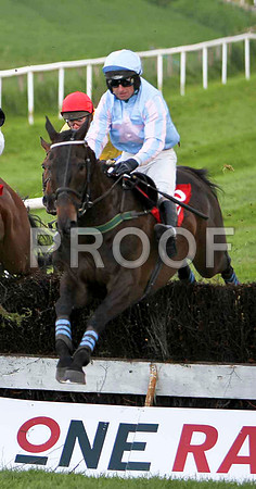 Mr Springer , Winner , Jockey - T P Treacy - FT8E3111-e3