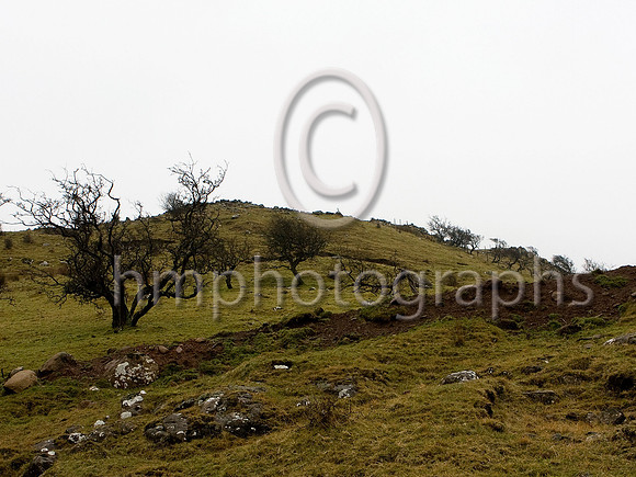 _MG_5158-e3a4j