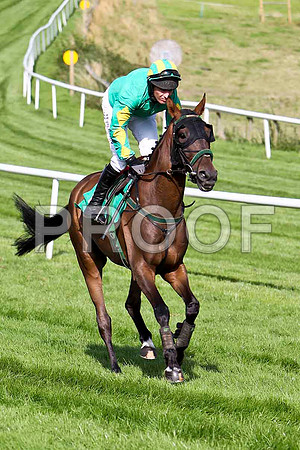 Randoon Hill 6th, Jockey P Carberry- CU2D1776-e