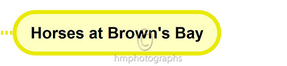 Browns Bay - 2020-11-20_12-08-37