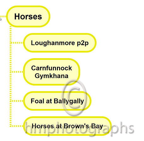 Horses - 2020-11-20_12-06-27