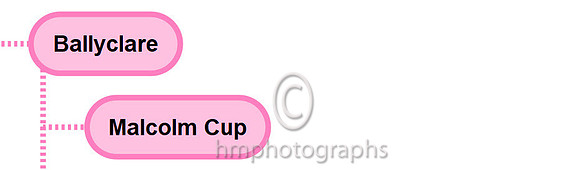 Malcolm Cup - 2020-11-20_17-33-26