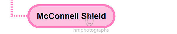 Mcconnell Shield - 2020-11-20_17-34-06