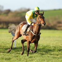 2020-11-21st - KIrkistown P2P (hr) (8/23)