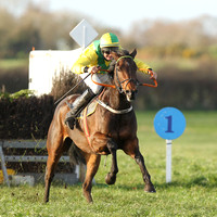 2020-11-21st - KIrkistown P2P (hr) (8/23)