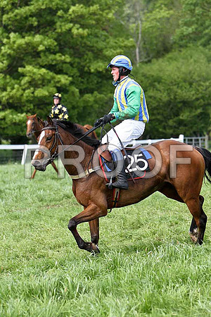 Fifth Race Div 1 - Graciemm (25) PU, Rider P E Turley - CU2D9674-e