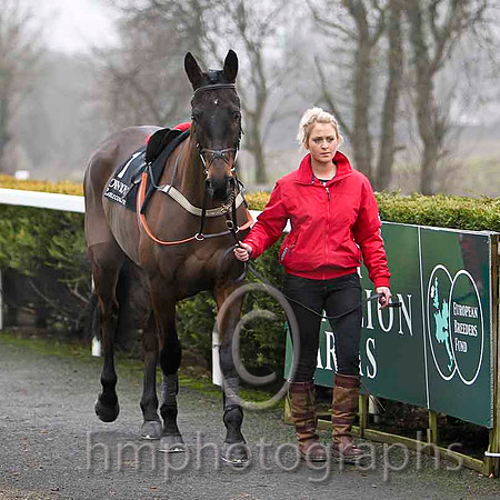 Drumbaloo - Jockey R C Colgan - 4th - CU2D1770-e
