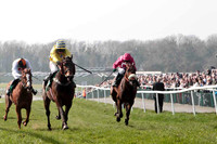 White Feathers & D J Bates, 3rd, Brecan Boy & A E Lynch - winner & Cause of Causes & P Carberry 2nd - CU2D0532-e5