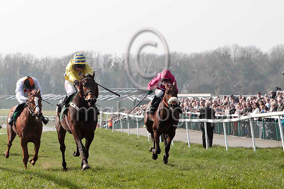 White Feathers & D J Bates, 3rd, Brecan Boy & A E Lynch - winner & Cause of Causes & P Carberry 2nd - CU2D0532-e5