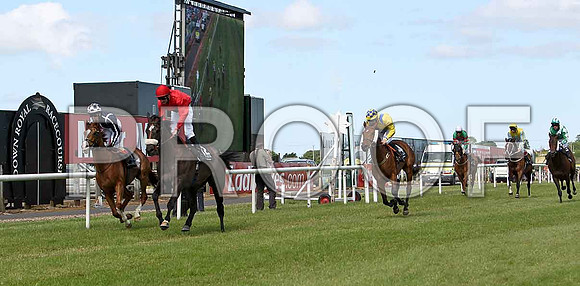 Hawksbury Heights 6th, Red Kingdom 5th, Jockey K J Manning - CU2D0327-e2