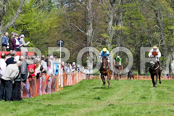 Bear Witness , Winner, Jockey - Derek O'Connor - FT8E2068-e2