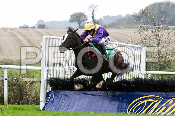 Slow Train Coming , 5th  Jockey P T Enright - FT8E5162-e