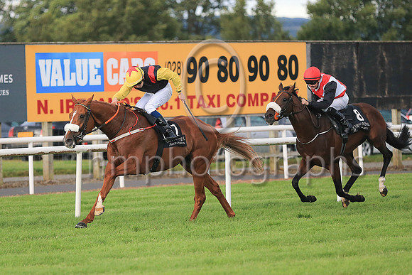 01st The Tartan Spartan  Ronan Whelan (7, black, red epaulettes) Trainer John Patrick Shanahan, Owner Thistle Bloodstock Limited