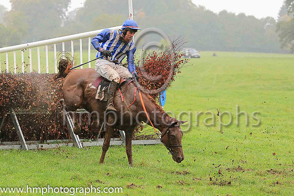 02nd PATRIOT'S PRAYER and J P O'Rourke ( 11 , ROYAL BLUE  WHITE STRIPES; royal blue sleeves; royal blue cap ) Trainer: Denis Paul Murphy,, Owner : Ger Flynn