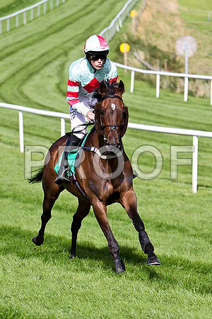 Uncommitted - winner, Jockey Andrew J McNamara- CU2D1777-e
