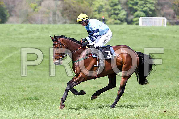 Bear Witness , Winner, Jockey - Derek O'Connor - FT8E2037-e