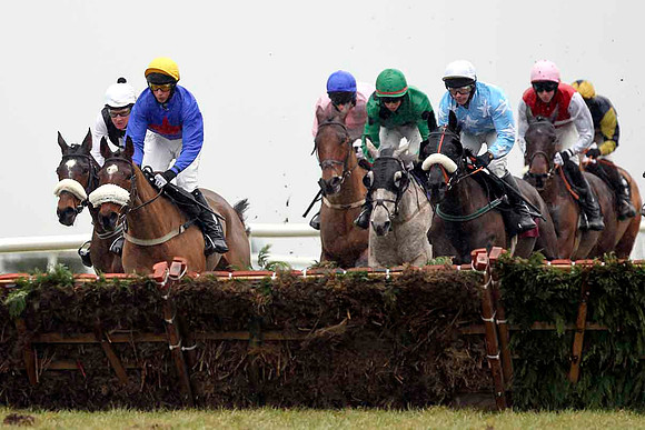 Garryowen Star (Light blue with white stars) Winner, Jockey D J Casey - CU2D3212-e