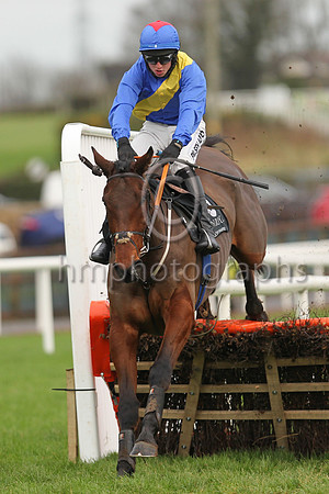 01st You Say Nothing and C P McNamara ( 8 , blue, yelllow sash ) Trainer - G P Cromwell , Owner - Hard To Know Syndicate