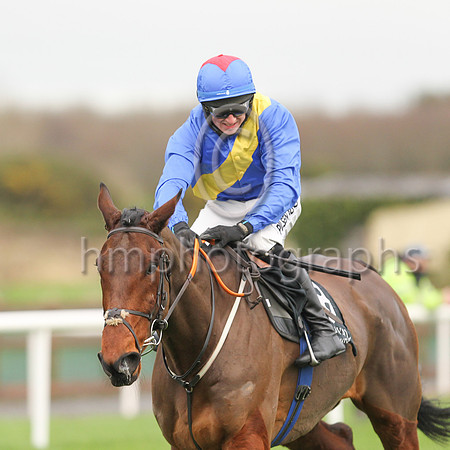 01st You Say Nothing and C P McNamara ( 8 , blue, yelllow sash ) Trainer - G P Cromwell , Owner - Hard To Know Syndicate