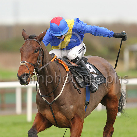 01st You Say Nothing and C P McNamara ( 8 , blue, yelllow sash ) Trainer - G P Cromwell , Owner - Hard To Know Syndicate