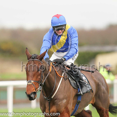 01st You Say Nothing and C P McNamara ( 8 , blue, yelllow sash ) Trainer - G P Cromwell , Owner - Hard To Know Syndicate