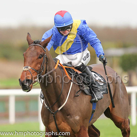 01st You Say Nothing and C P McNamara ( 8 , blue, yelllow sash ) Trainer - G P Cromwell , Owner - Hard To Know Syndicate