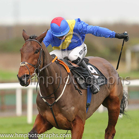 01st You Say Nothing and C P McNamara ( 8 , blue, yelllow sash ) Trainer - G P Cromwell , Owner - Hard To Know Syndicate