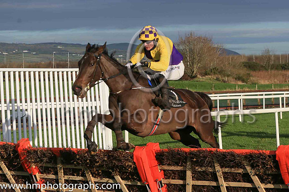 02nd Fun Light and D F O'Regan ( 7 , yellow and blue qtrd ) Trainer - J P O'Brien , Owner - Rectory Road Holdings Limited