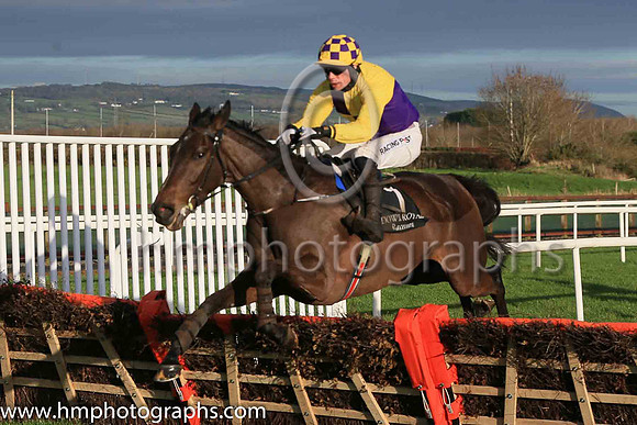 02nd Fun Light and D F O'Regan ( 7 , yellow and blue qtrd ) Trainer - J P O'Brien , Owner - Rectory Road Holdings Limited