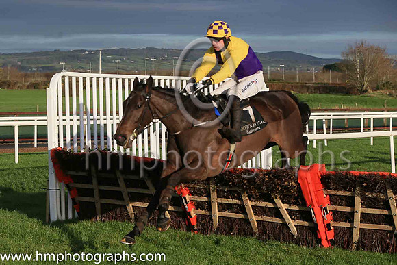 02nd Fun Light and D F O'Regan ( 7 , yellow and blue qtrd ) Trainer - J P O'Brien , Owner - Rectory Road Holdings Limited