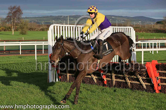02nd Fun Light and D F O'Regan ( 7 , yellow and blue qtrd ) Trainer - J P O'Brien , Owner - Rectory Road Holdings Limited