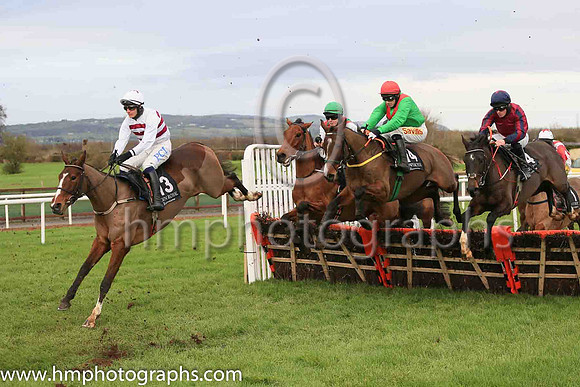 13th Gelee Blanche and P Townend ( 13 , white, brown hoops ) Trainer - W P Mullins , Owner - Tiger Tail Again Syndicate