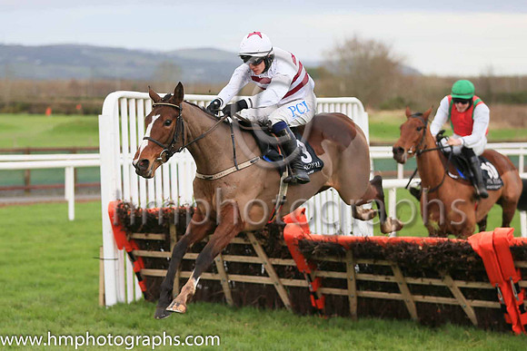 13th Gelee Blanche and P Townend ( 13 , white, brown hoops ) Trainer - W P Mullins , Owner - Tiger Tail Again Syndicate