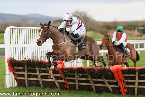 13th Gelee Blanche and P Townend ( 13 , white, brown hoops ) Trainer - W P Mullins , Owner - Tiger Tail Again Syndicate