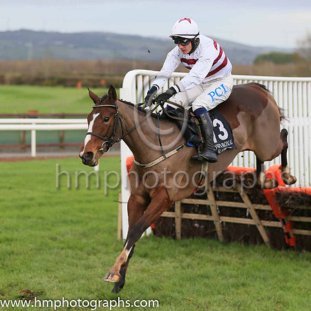 13th Gelee Blanche and P Townend ( 13 , white, brown hoops ) Trainer - W P Mullins , Owner - Tiger Tail Again Syndicate